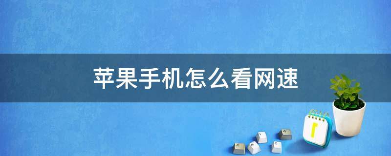 蘋果手機(jī)怎么看網(wǎng)速（蘋果手機(jī)怎么看網(wǎng)速是多少兆）