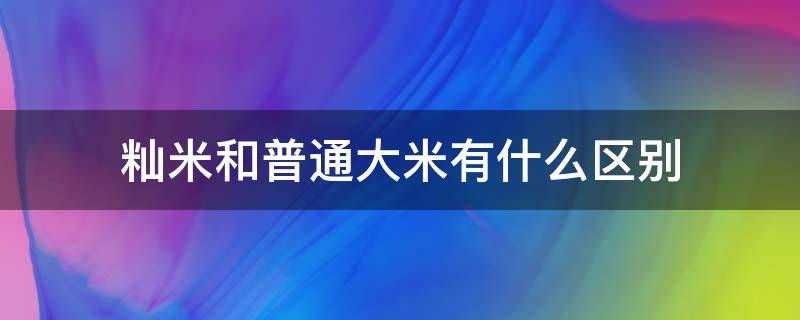 籼米和普通大米有什么区别 籼米和稻米有区别吗?