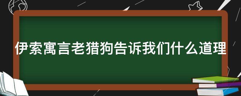 伊索寓言老獵狗告訴我們什么道理 伊索寓言老獵狗告訴我們什么道理呢