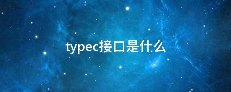 typec接口是什么（typec接口是什么样子）