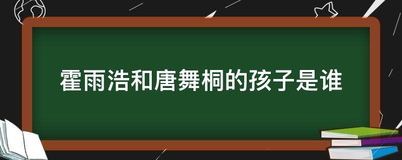 霍雨浩和唐舞桐的孩子是谁（唐舞桐和霍雨浩的孩子是谁?）