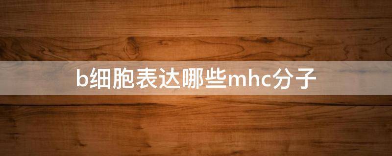 b细胞表达哪些mhc分子（B细胞表达的MHC分子为）