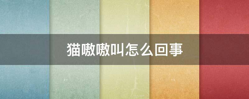 貓嗷嗷叫怎么回事 家貓嗷嗷叫怎么回事?