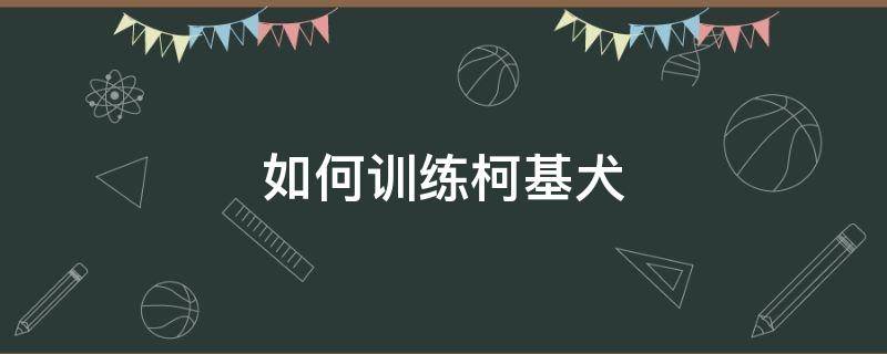 如何训练柯基犬 训练柯基