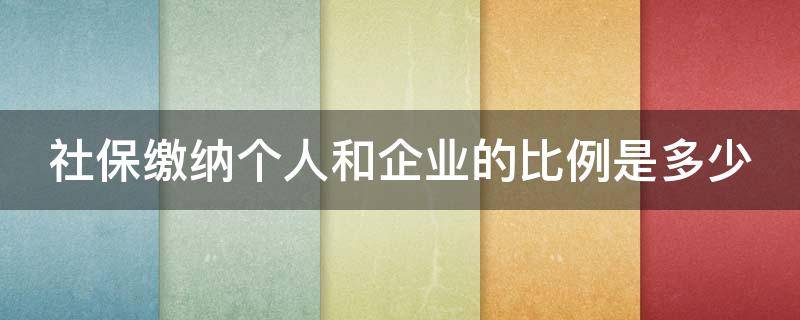 社保缴纳个人和企业的比例是多少（社保缴纳个人和企业的比例是多少钱）