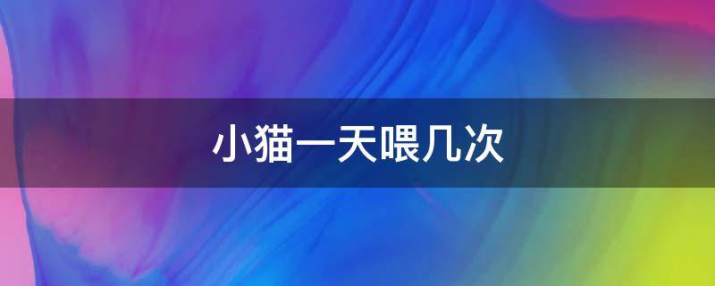 小猫一天喂几次 小猫一天喂几次水