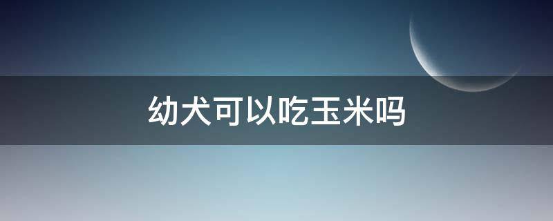 幼犬可以吃玉米嗎（金毛幼犬可以吃玉米嗎）