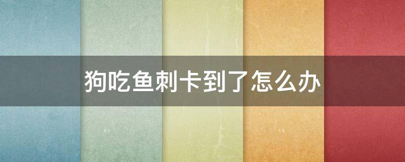 狗吃魚刺卡到了怎么辦 狗狗吃魚刺卡到了怎么辦