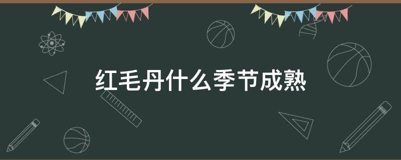 紅毛丹什么季節(jié)成熟（紅毛丹什么時候成熟季節(jié)）