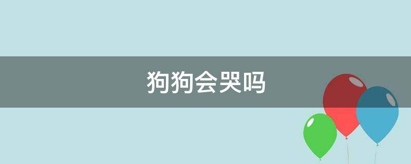 狗狗會(huì)哭嗎（狗狗會(huì)哭嗎 怎么看出狗狗哭）