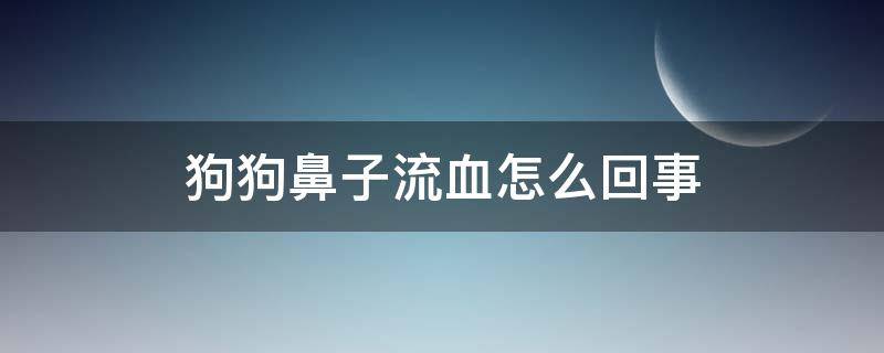 狗狗鼻子流血怎么回事（狗狗鼻子一直流血怎么回事）