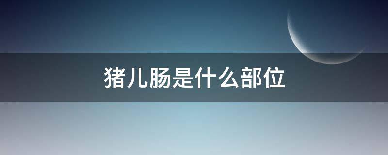 豬兒腸是什么部位（豬兒腸是什么部位腸怎么吃）