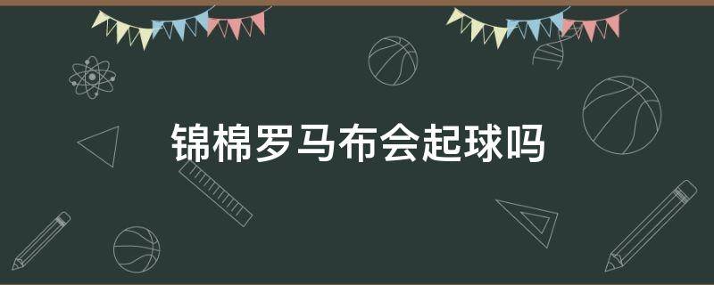 锦棉罗马布会起球吗 锦纶罗马棉是什么面料起球吗