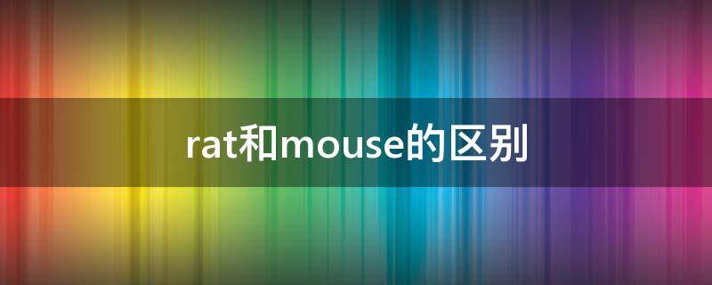 rat和mouse的区别（rat和mouse的区别图片）