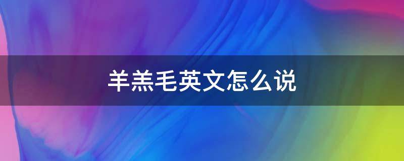 羊羔毛英文怎么说 羊羔用英语怎么说呢