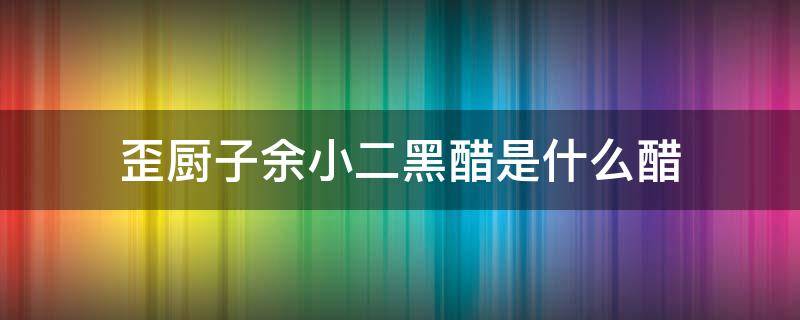 歪厨子余小二黑醋是什么醋 歪厨小二的醋