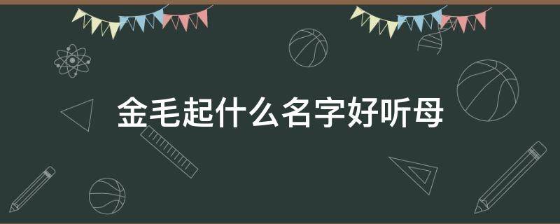 金毛起什么名字好聽母（母金毛取什么名字好聽）