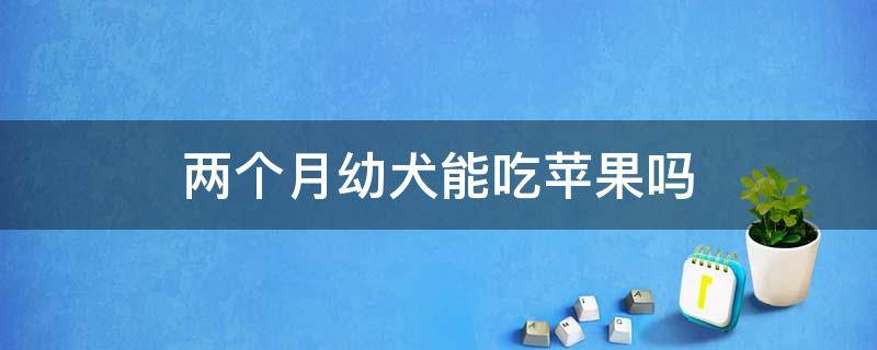 兩個(gè)月幼犬能吃蘋果嗎 兩個(gè)半月的幼犬可以吃蘋果嗎