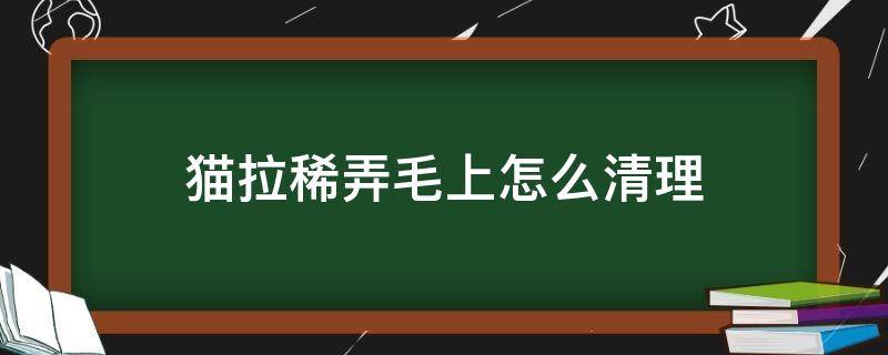 猫拉稀弄毛上怎么清理 幼猫拉稀弄毛上怎么清理