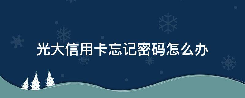 光大信用卡忘記密碼怎么辦（光大信用卡app密碼忘了怎么辦）