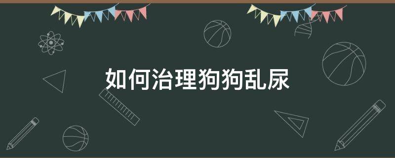 如何治理狗狗乱尿 狗子乱尿怎么治