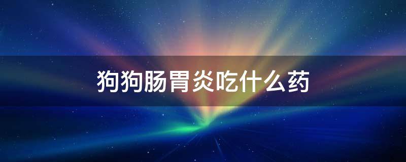 狗狗腸胃炎吃什么藥 狗狗腸胃炎吃什么藥好得快效果最好