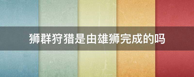 獅群狩獵是由雄獅完成的嗎 獅群的狩獵主要是有獅群來完成的嗎