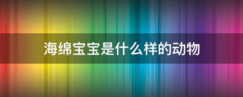 海绵宝宝是什么样的动物（海绵宝宝里面的海绵宝宝是什么动物）