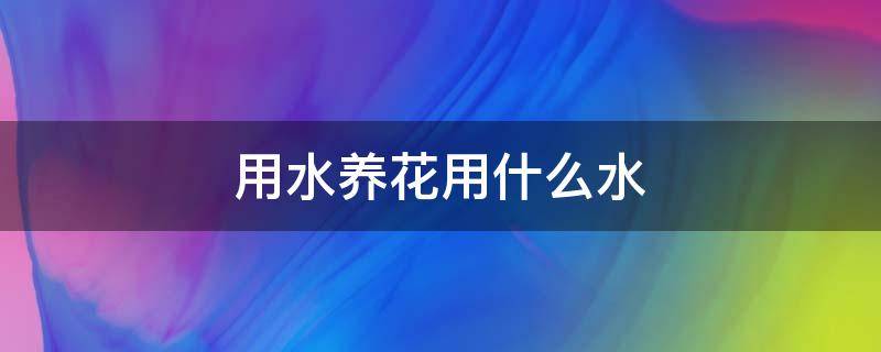 用水養(yǎng)花用什么水 養(yǎng)花的水用什么水