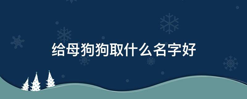 給母狗狗取什么名字好（母狗狗可以取什么名字）