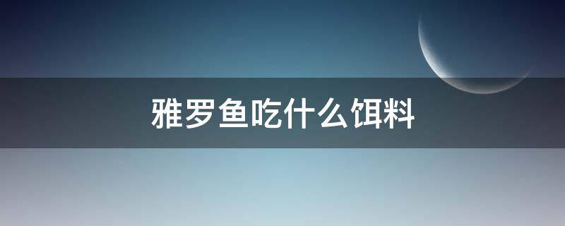 雅羅魚(yú)吃什么餌料（雅羅魚(yú)圖片吃多大的餌）