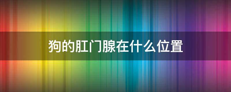 狗的肛門腺在什么位置（狗的肛門腺在哪個位置）