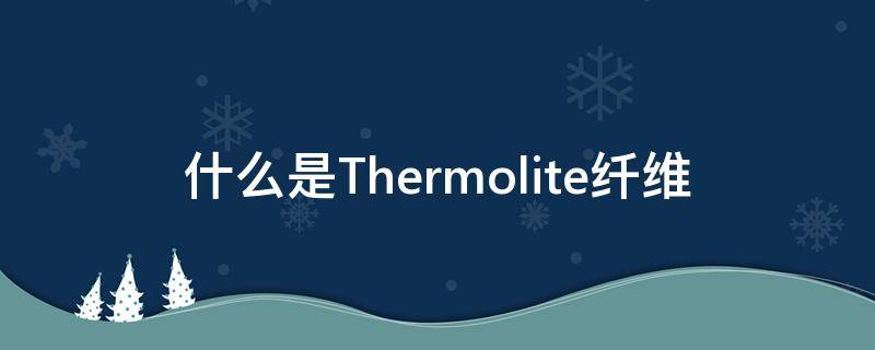 什么是Thermolite纤维 thermolite是涤纶吗