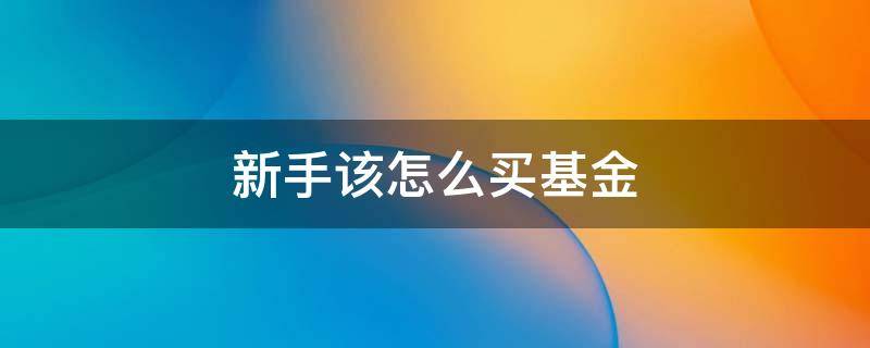 新手该怎么买基金 新手怎么去买基金