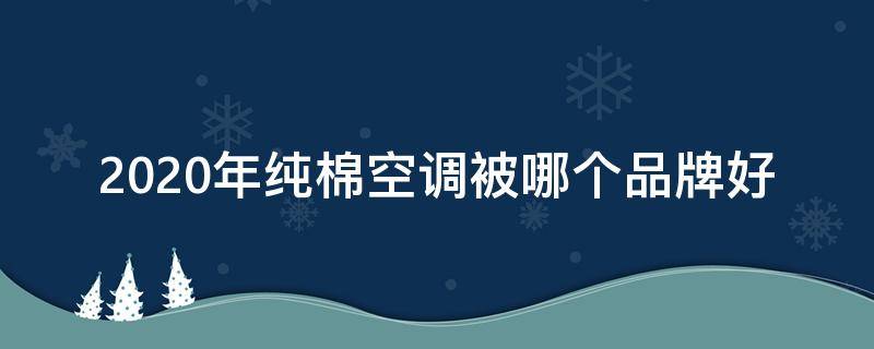 2020年純棉空調(diào)被哪個(gè)品牌好（保溫棉排行榜）