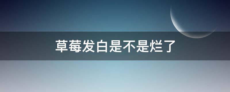 草莓發(fā)白是不是爛了 新鮮草莓表皮發(fā)白是爛嗎