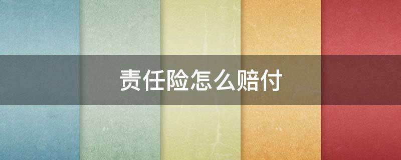 责任险怎么赔付（责任保险怎么赔付）