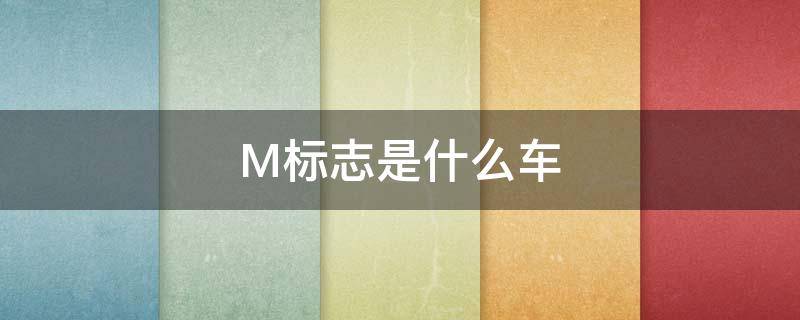 M标志是什么车（2个m标志是什么车）