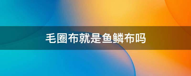 毛圈布就是鱼鳞布吗 纯棉鱼鳞布是什么布