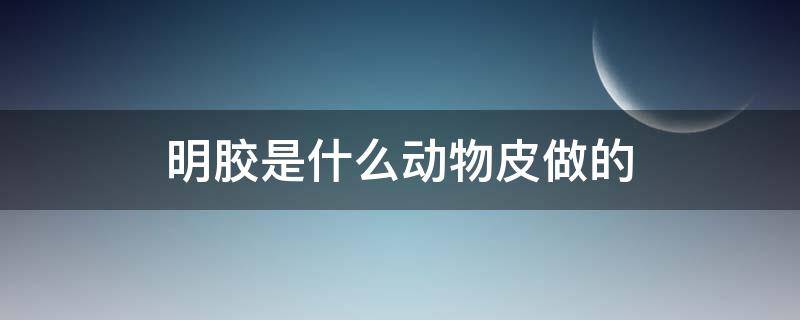 明膠是什么動物皮做的 明膠是用什么動物做的