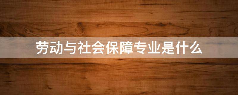 勞動與社會保障專業(yè)是什么（勞動與社會保障專業(yè)是什么系）