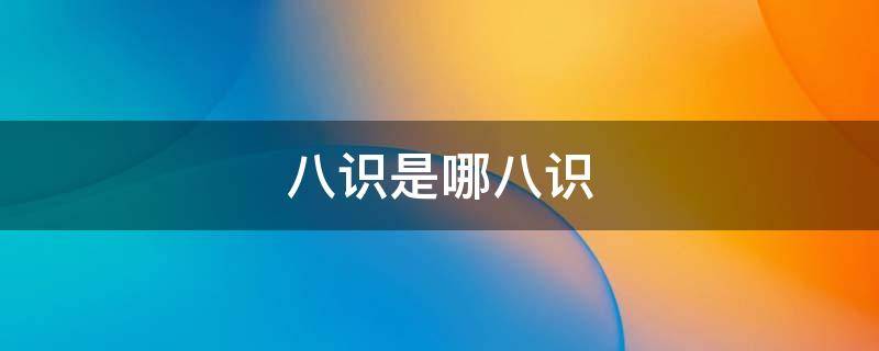 八识是哪八识（八识是什么）