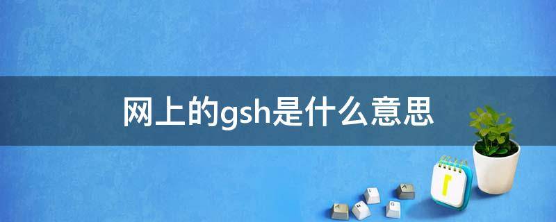 网上的gsh是什么意思（Gsh是什么意思）