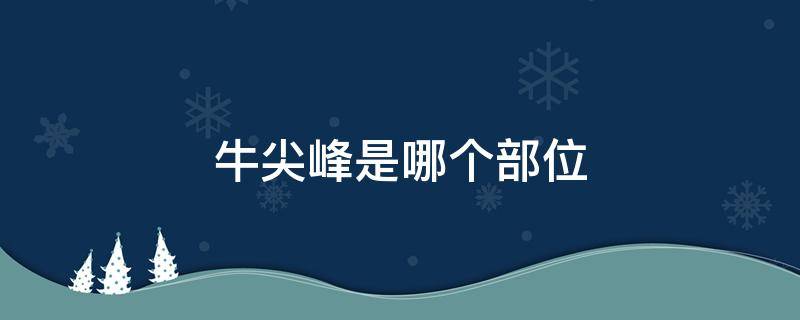 牛尖峰是哪個部位（牛峰是牛的哪個部位）