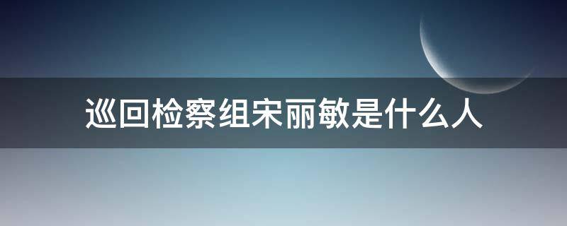 巡回检察组宋丽敏是什么人 巡回检察组里的宋丽敏