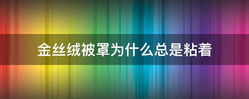 金丝绒被罩为什么总是粘着（金丝绒被子）