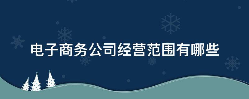 电子商务公司经营范围有哪些（电子商务有限公司的经营范围）