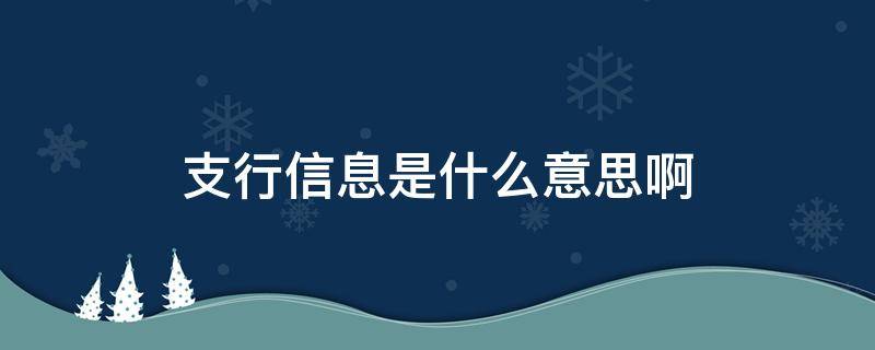 支行信息是什么意思?。ㄣy行信息什么意思）