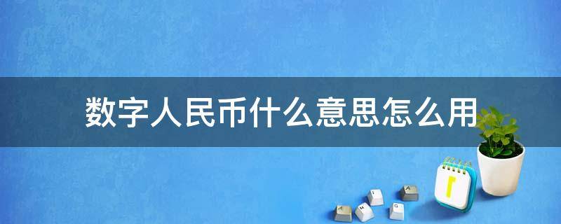 数字人民币什么意思怎么用 什么叫数字人民币怎么用