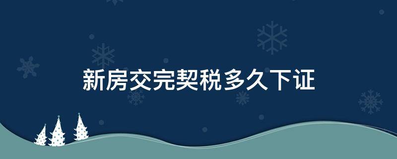 新房交完契税多久下证（新房子交完契税多久下房证）